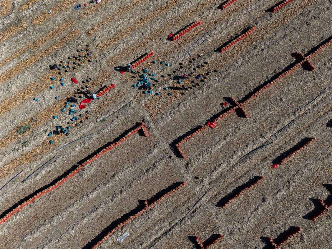 Konya Ovası’nda tablo gibi hasat 8